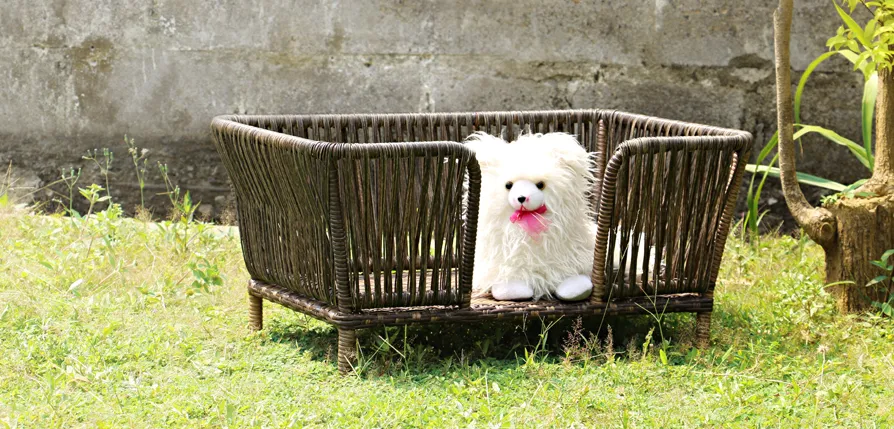 LIGHTING FOR LIVING | Furniture, Lighting & Home Decor