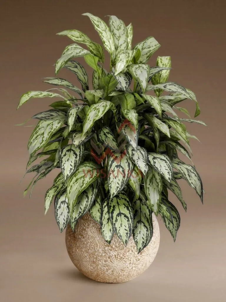 LIGHTING FOR LIVING | Furniture, Lighting & Home Decor